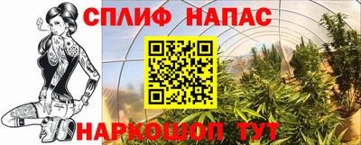 спиды Рыбинск